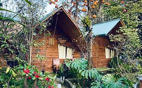 Nobita Homestay bắc hà