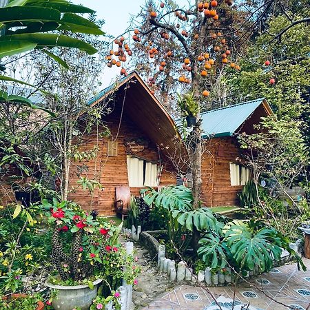 Nobita Homestay bắc hà Extérieur photo