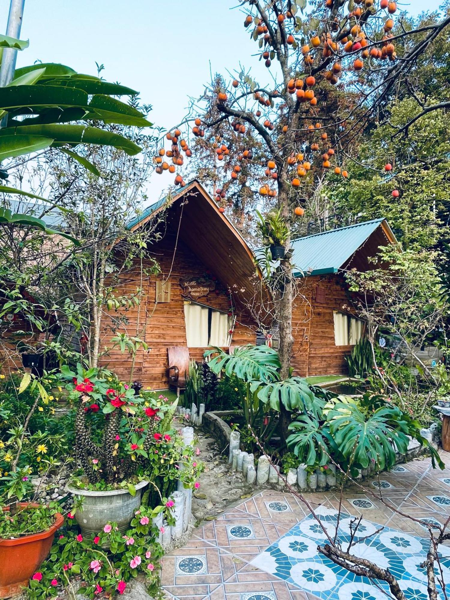 Nobita Homestay bắc hà Extérieur photo